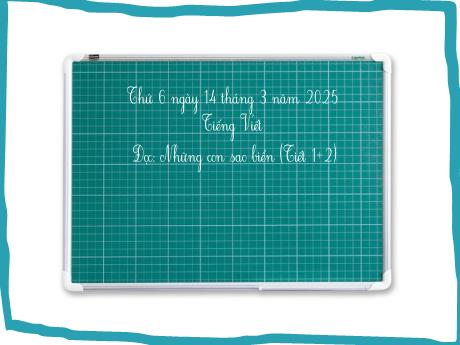 Bài giảng Tiếng Việt 2 (Đọc) sách Kết nối tri thức - Những con sao biển (Tiết 1+2) - Năm học 2024-2025