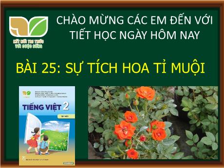 Bài giảng Tiếng Việt 2 (Kết nối tri thức) - Bài 25: Sự tích hoa tỉ muội (Tiết 3+4)