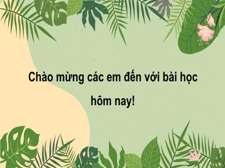 Bài giảng Tiếng Việt Lớp 2 - Bài 7: Cây xấu hổ (Tiết 1+2)